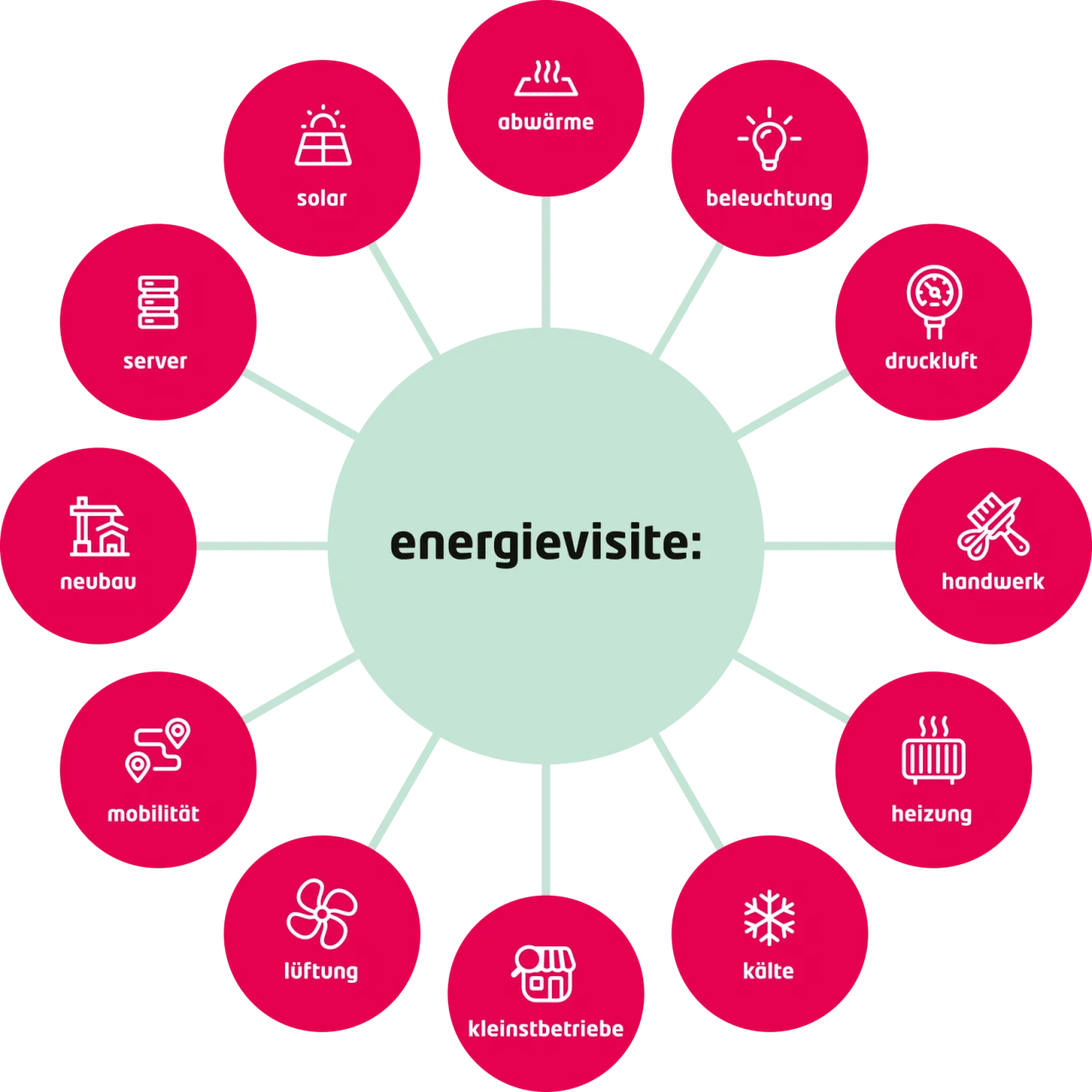 energievisiten-spinne