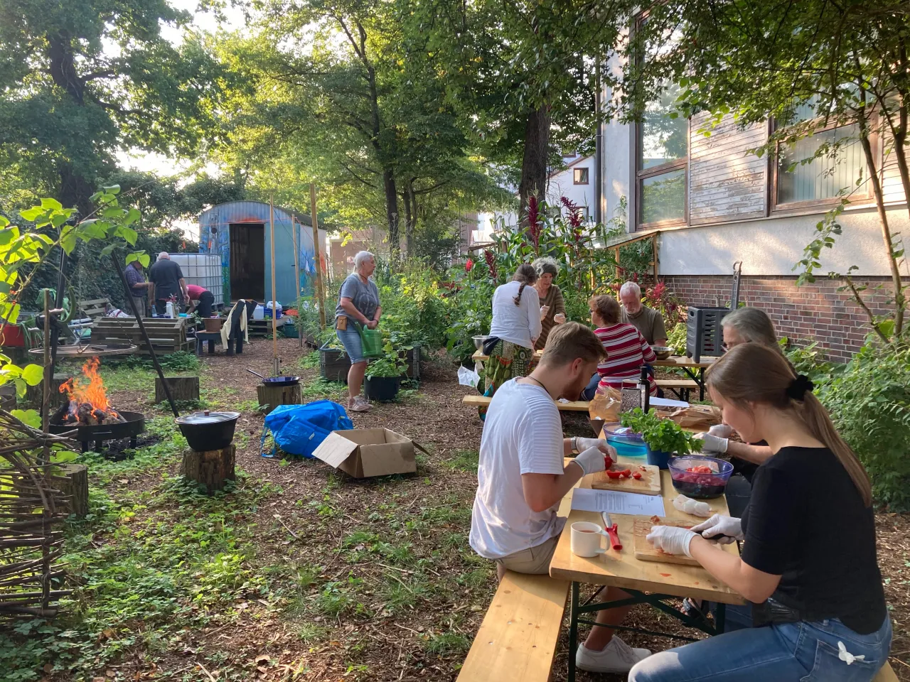 Gemeinschaftsgarten BlumenKohl