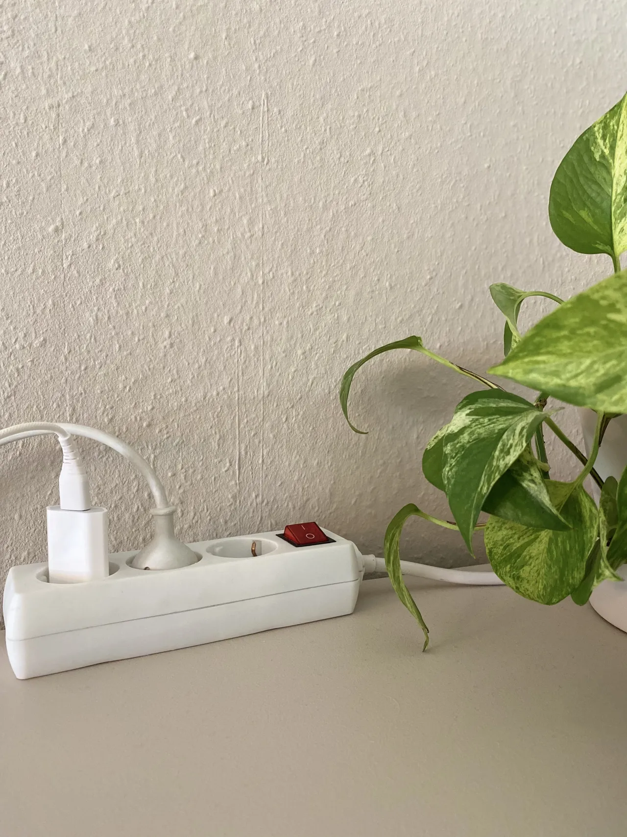 Steckerleiste mit zwei Ladekabeln neben Pflanze