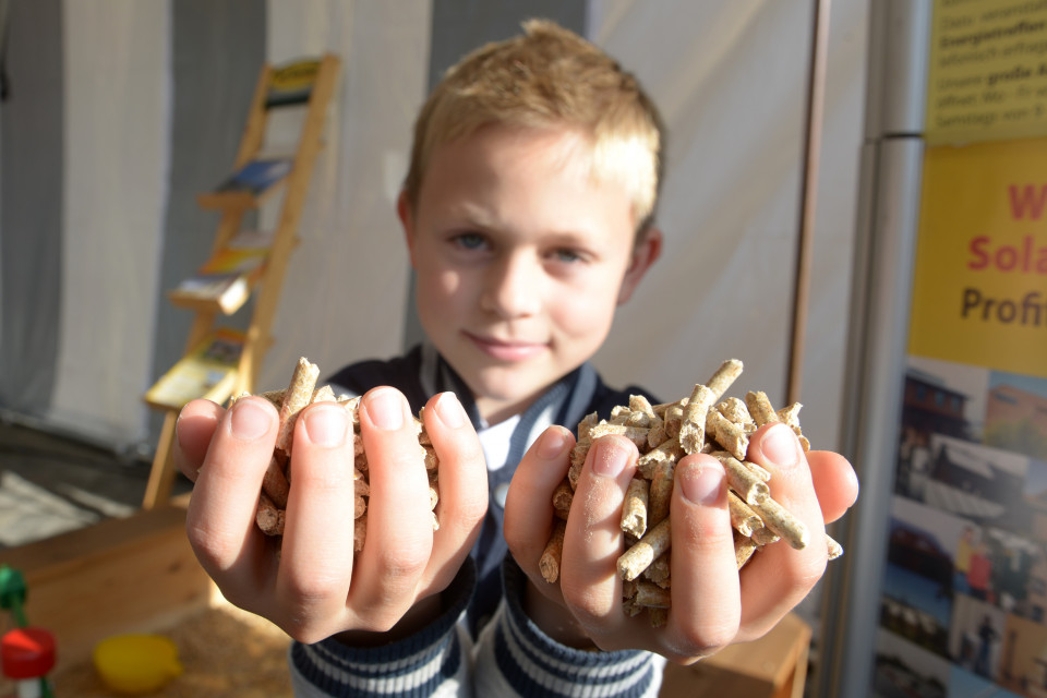 Holzpellets