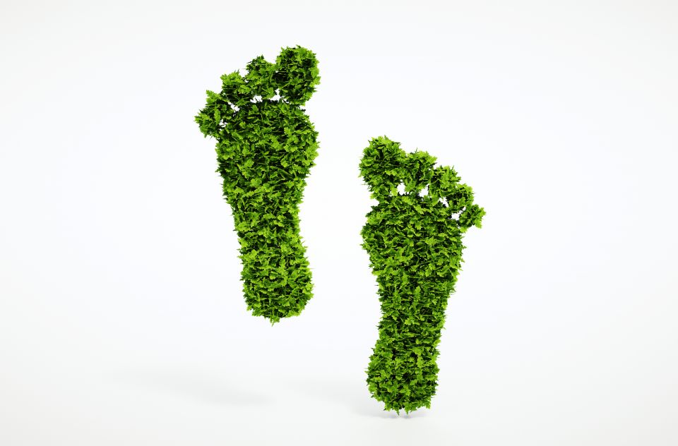 Symbolbild für Fußabdruck zeigt zwei Fußabdrücke aus Gras auf weißem Hintergrund