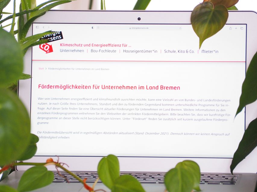 Ein von Pflanzen umrahmter Laptop-Bildschirm zeigt die Internet-Seite von energiekonsens mit einem Text unter der Überschrift