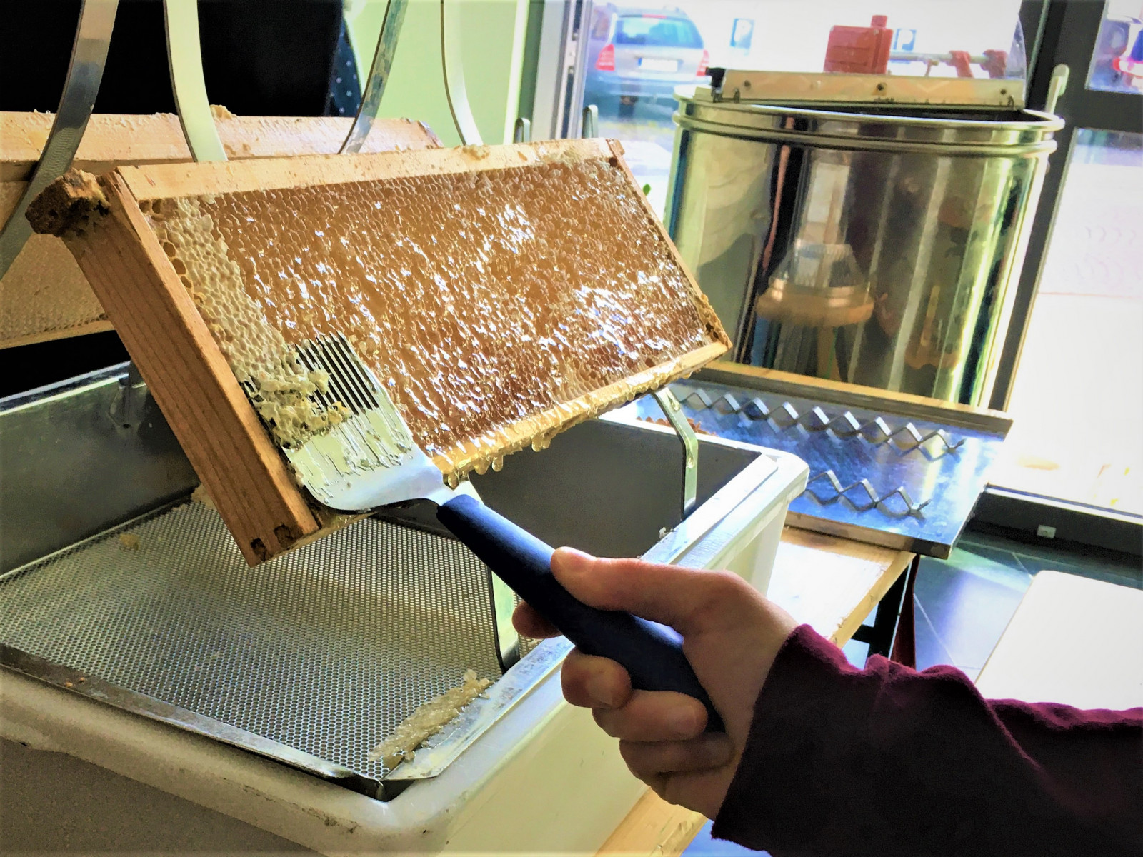 Klimaschutz im Kita-Alltag: Bienenwaben