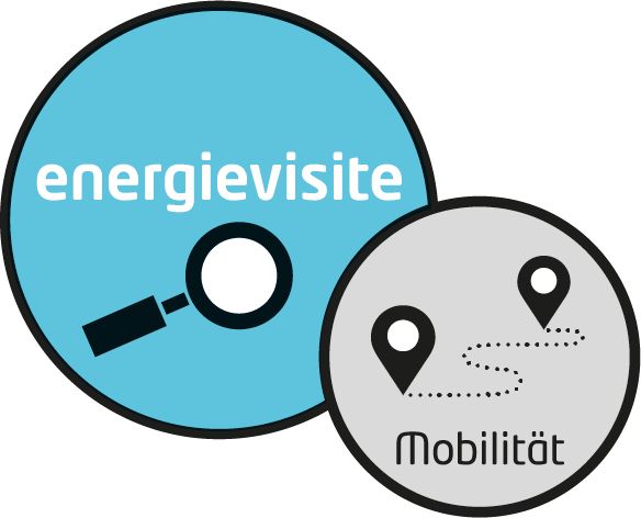 Grafik zur energievisite mobilität