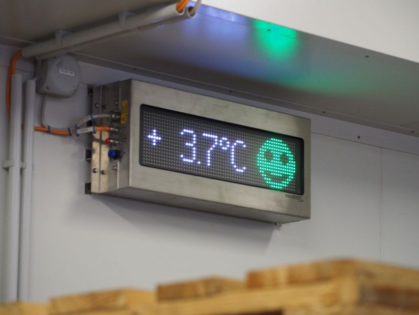 Green Nudging Smiley Thermometer Deutsche See