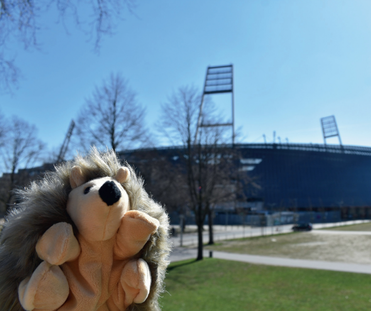Kalle vor dem Weserstadion