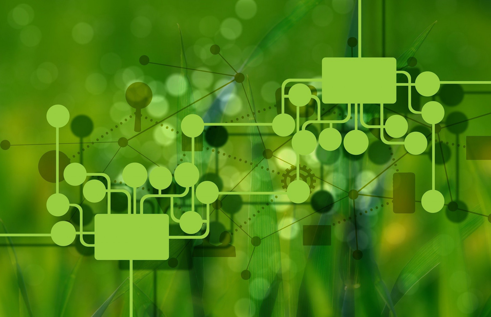 Symbolbild Netzwerk Klimaschutz Pixabay freie Nutzung
